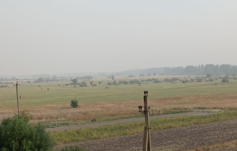 У Києві та області відчувається запах гару: що відомо